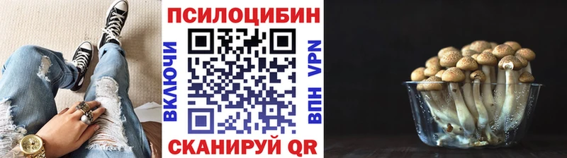darknet Telegram  кракен рабочий сайт  Морозовск  Галлюциногенные грибы прущие грибы 